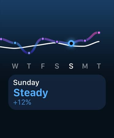 Training load line graph and calendar